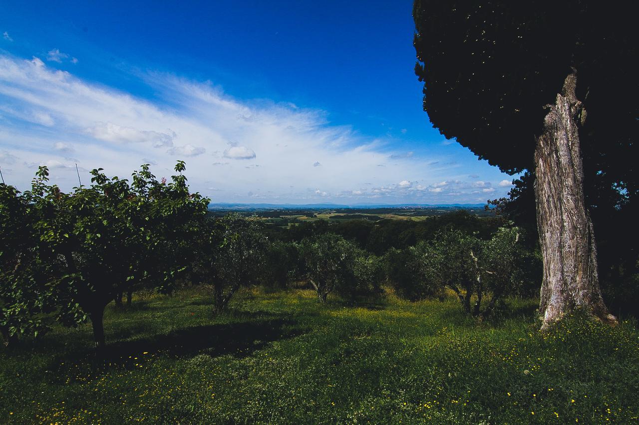Agriturismo Poggio Bonelli Castelnuovo Berardenga Exterior foto